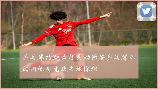 乒乓球的魅力与灵动西安乒乓球队的训练与竞技之旅探秘