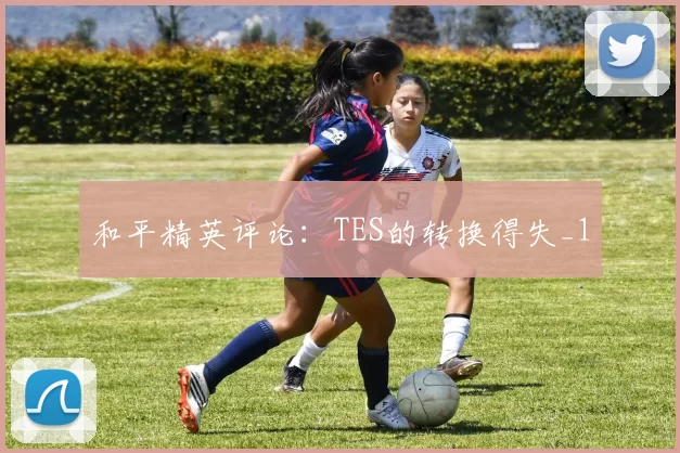 和平精英评论：TES的转换得失_1