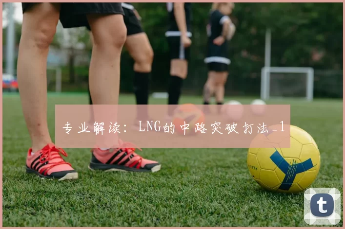 专业解读：LNG的中路突破打法_1