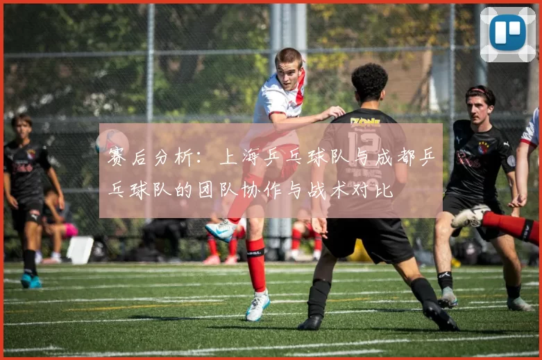 赛后分析：上海乒乓球队与成都乒乓球队的团队协作与战术对比